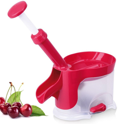 Cherry Pitter with Suction Cup 20x12x27 cm