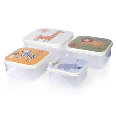 Food Container for Child 4 pcs