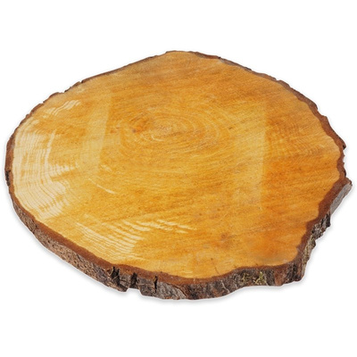 Wood Slice 23-28 cm