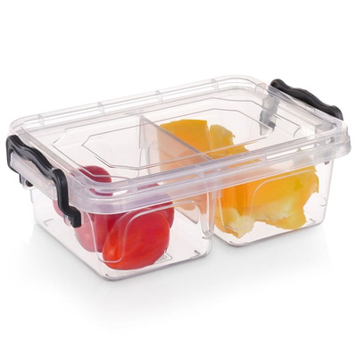 Food Container with Lid Divided 500 ml