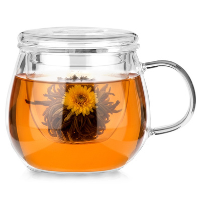 Cup with Infuser and Cover Glass 400 ml