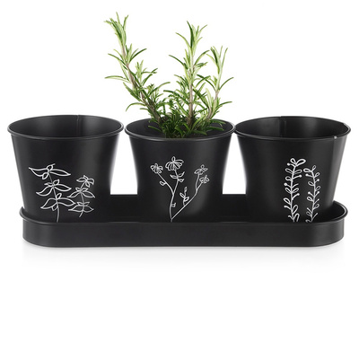 Flower Pot for Herbs on Base BLACKLINE 4 el,