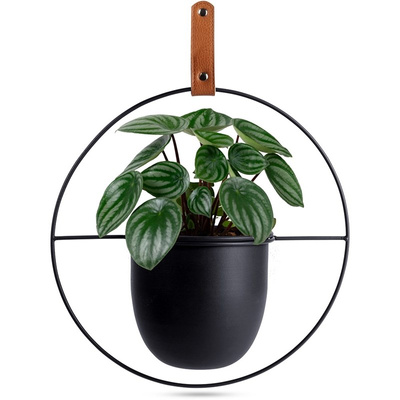 Hanging Planter Metal Black 30x30 cm