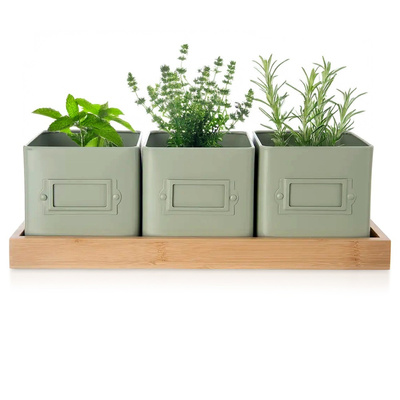 Plant Pot Herbs on Base GREENISH 4 el,