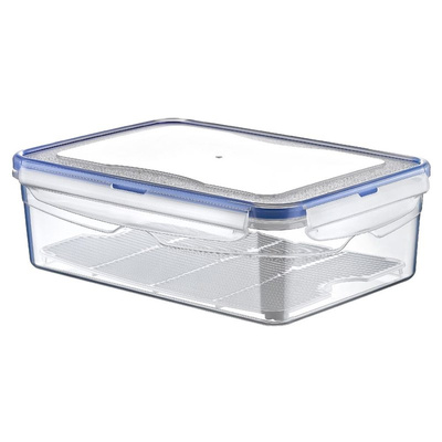 Food Container with Lid and Gasket with Grid 2.6 l