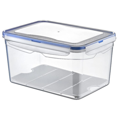 Food Container with Lid and Gasket with Grid 4.5 l