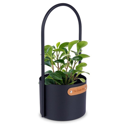 Plant Pot Metal Black 14,5x30 cm