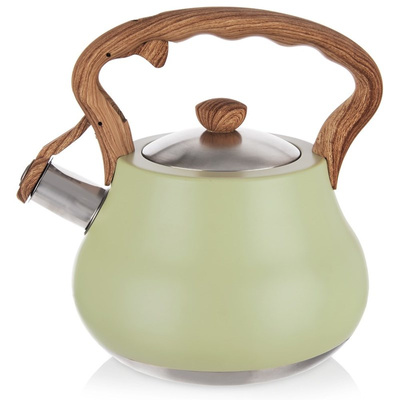 Whistling Kettle Steel GREENISH 3 l