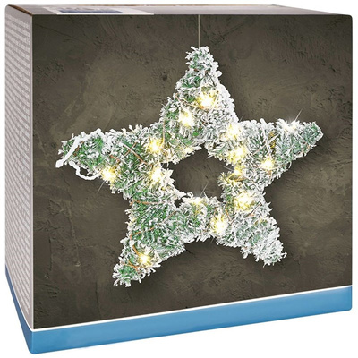 Lighted Star 30 LED 37 cm