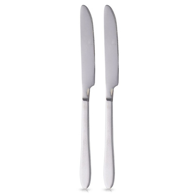 Dinner Knives Steel 2 pcs